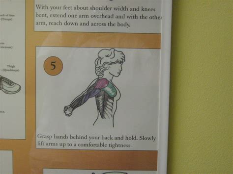 Curves Stretching Chart 001 shirleydupree Flickr