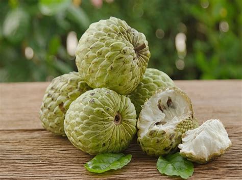 Soursop custard apples are dark-green, medium-sized, oblong-shaped, and have shiny spines that curve a bit. The sweetsop is a smaller type of custard apple that doesn't have spines..... 