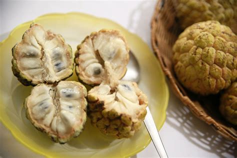Custard apple.. The custard apple tree, or custard apple, is a tree that has its origin in western India, although currently most of the production is centered in Spain. It is a tree highly appreciated for its fruit, the custard apple, exotic fruit of great nutritional and dietary quality. And it is that custard apples, in addition to being very […] 