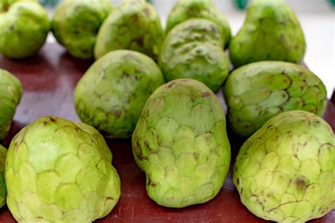 Annona reticulata (Custard Apple), Custard apples are a decadent and deliciously sweet sub-tropical fruit. Custard Apples (Annona reticulata, sugar...