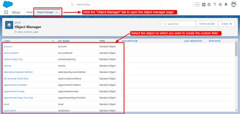 Custom Field Add to New Account Form Salesforce Developer Community