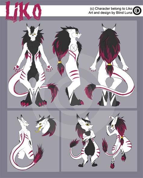 Custom Furry Ref Sheet Digital Copy