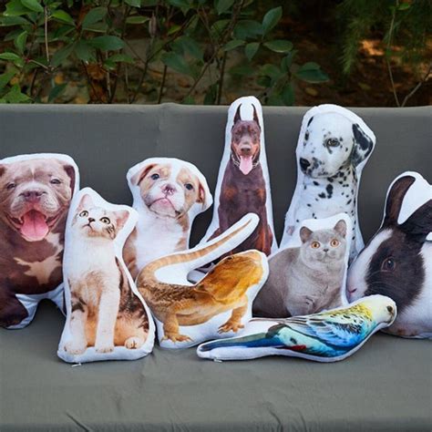 Custom Pet Pillow With Photo of Your Pet on Custom Color - Etsy