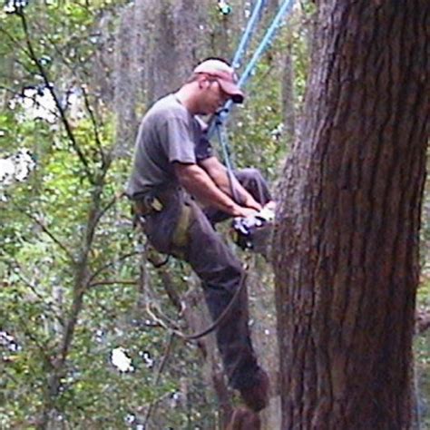 Custom Tree Works Brunswick GA - Facebook