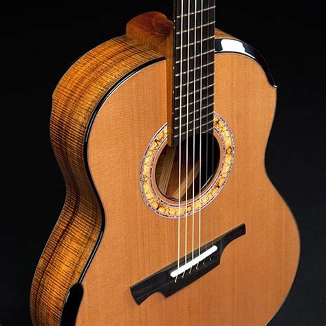 Custom acoustic guitars Michael Greenfield