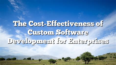 Custom cost effective software development