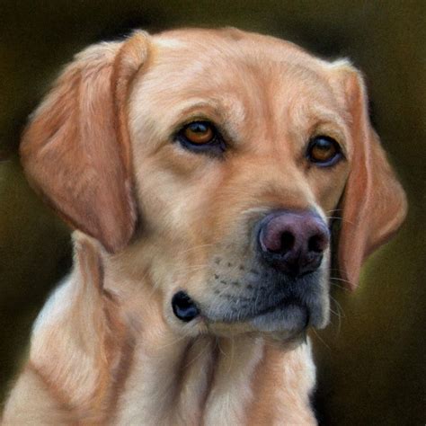 Custom dog portraits. Things To Know About Custom dog portraits. 