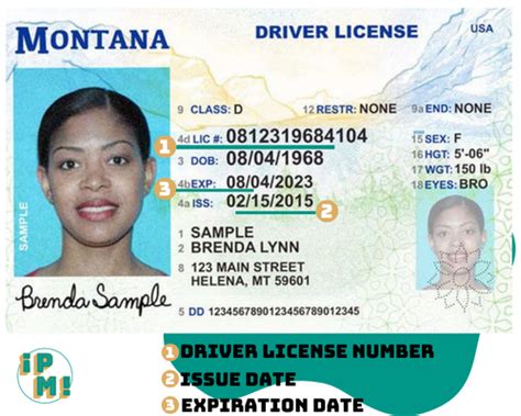 Custom format for Driver License Number - MrExcel …