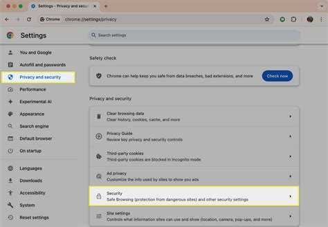 Customize Browser Security Settings 