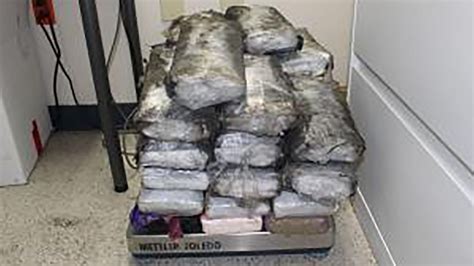 Customs officers seize 225 pounds of narcotics at Texas-Mexico border