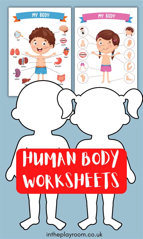 Cut And Paste Human Body Worksheets - Learny Kids