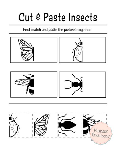 Cut And Paste Worksheets Printable
