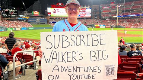 Cute Canine Helper Picks Up Bats at Baseball Game - YouTube