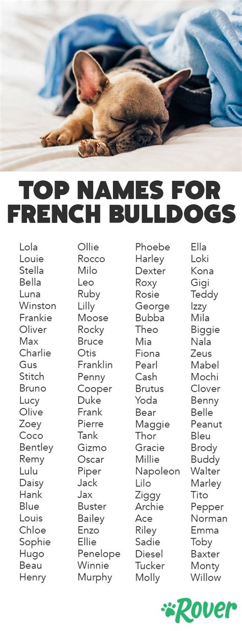 Cute French Bulldog Puppy Names