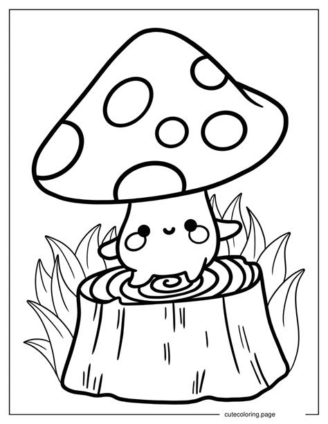 Coloring Camera