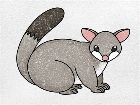 Cute Possum Drawing Easy
