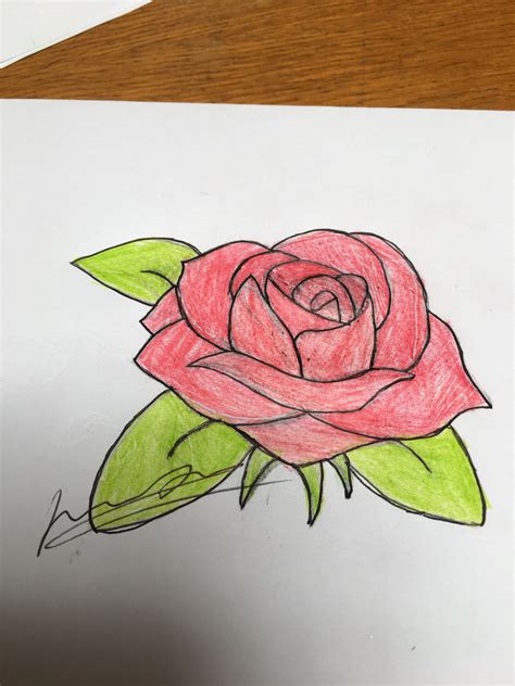 Cute Rose Drawings