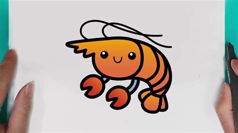 Cute Shrimp Drawing