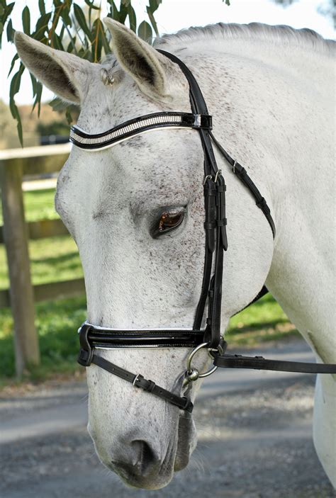 Cute bridles.  Build your own mix & Match bridle from our Horse Bridle Galle...