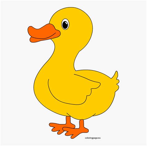 Cute duck clipart. Things To Know About Cute duck clipart. 