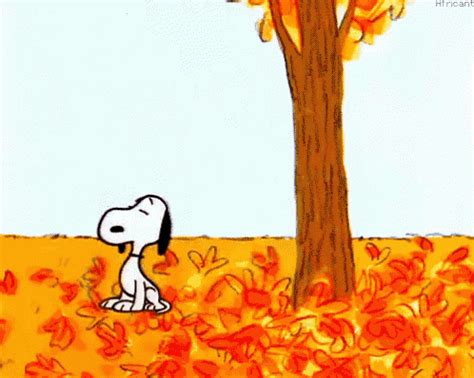 Cute fall gif. Things To Know About Cute fall gif. 