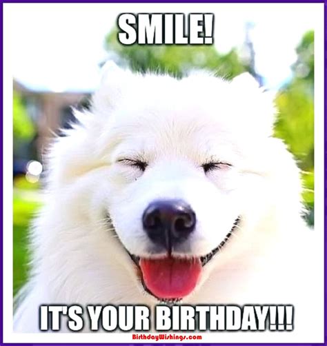 Cute happy birthday meme. Things To Know About Cute happy birthday meme. 