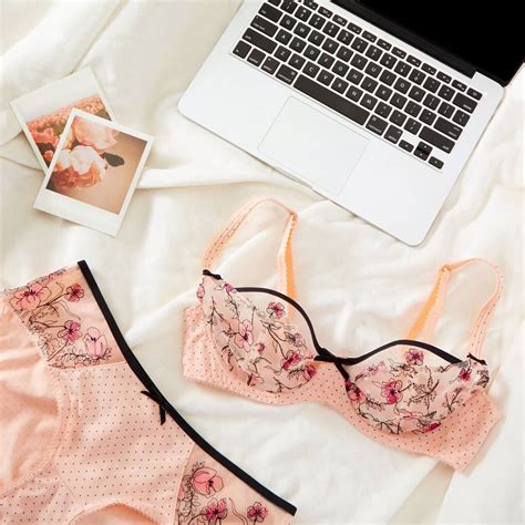 Cute lingerie brands. The best lingerie subscription boxes send curated bras, bralettes, cheeky panties, thongs, sleepwear. Retailers include AdoreMe, BootayBag, and Burgundy Fox. 