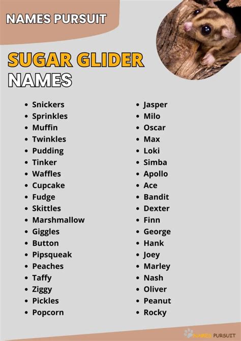 Cute sugar glider names boy. .  <a href=https://bandcamp.gofulfil.com/assets/...