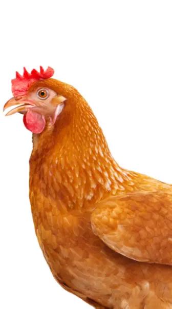 🍆 [SEX VIDEO] Cutekate111 Onlyfans Leak