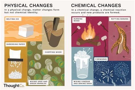 Cuting vegetable is chemical or physical change? - Meritnation