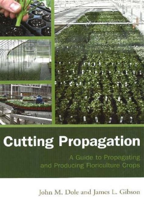 Cutting propagation a guide to propagating and producing floriculture crops. - Bakchen und ihre stellung im spätwerk des euripides..