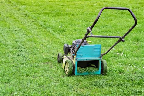 Cutting wet grass. Dec 21, 2023 ... The whole point of mowing your lawn is to make it more attractive. But cutting the grass while it's wet can lead to a choppy, uneven look. 