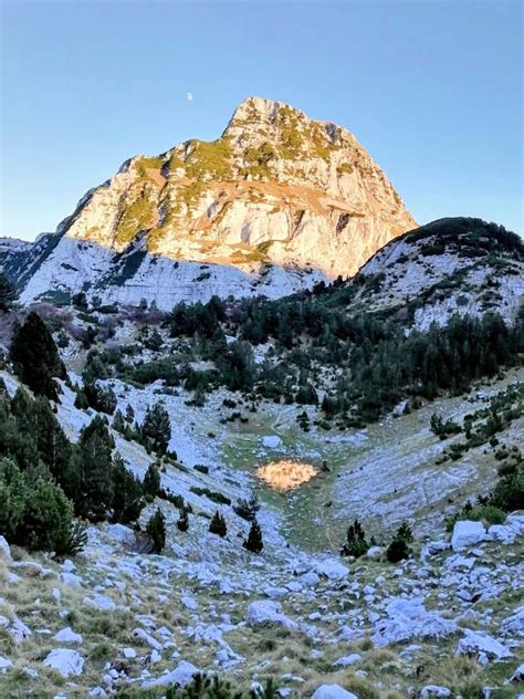 Cuvanje stoke posao. .  <a href=https://kvs-sb.ru/bitrix/admin/mzjeb/herbert-thompson-fun...