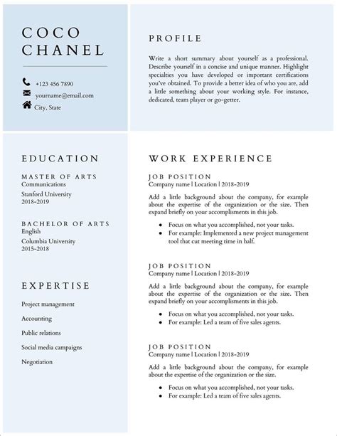 Cv Template Google