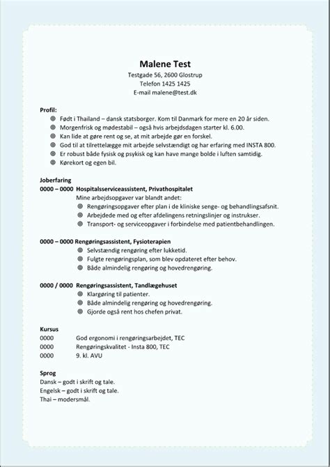 Cv rengøringsassistent
