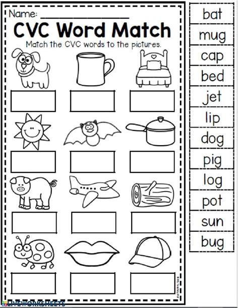 Cvc Words Interactive Worksheet