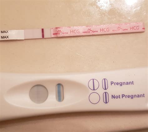 False Positives with CVS Brand Pregnancy tests?? SLC62312 member March 2014 I am -2 to my first missed period, so I bought a 2 pack of CVS brand home pregnancy tests.. 