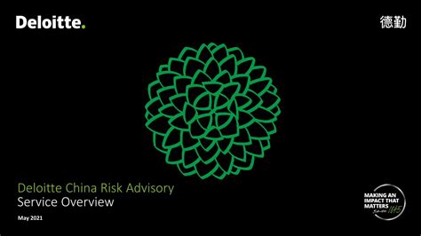 Cyber Risk Deloitte China Risk Advisory