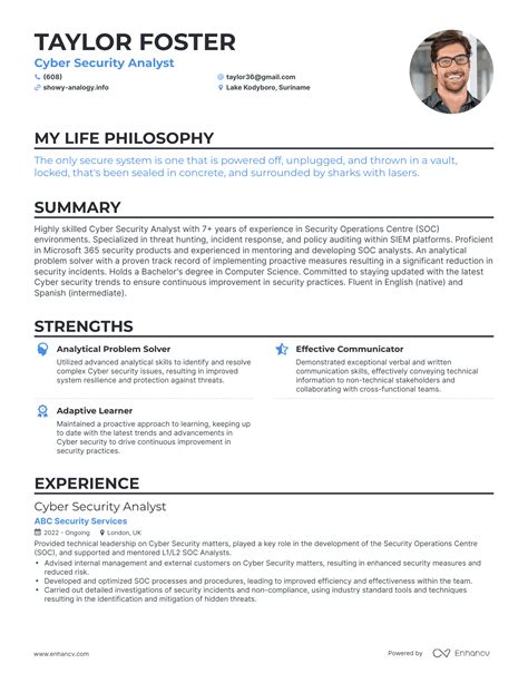 Cyber Security Analyst Resume Sample Letter Example Template