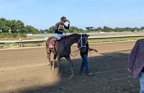 Cyberknife - Horse - Horse Racing Nation