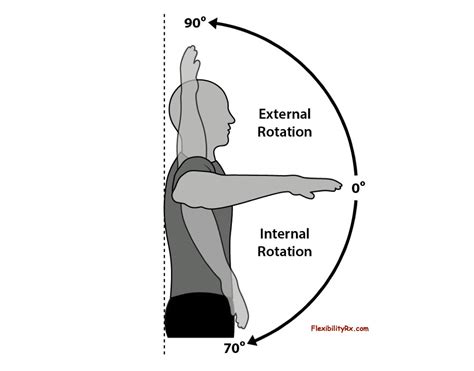 Cybex shoulder internal external rotation manual. - Complex variables brown solutions manual 8th.