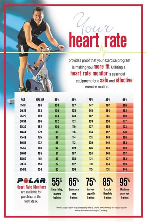 Cycle Heart Rate - Five at Heart