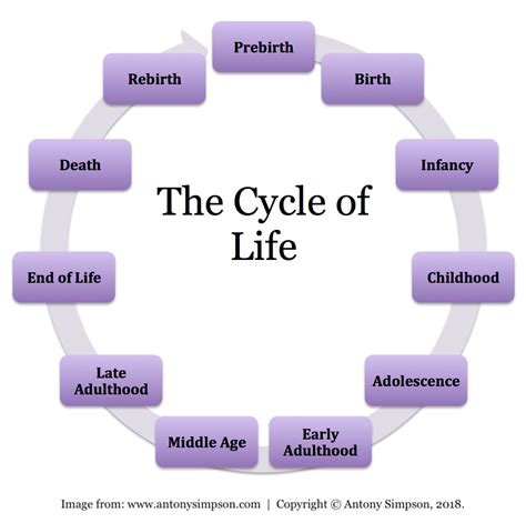 Cycles of Life - Startpagina