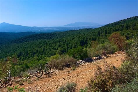 Cycling in Athens: Paths and parks for safe and enjoyable …