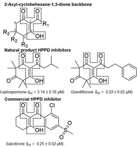 Cyclohexanes DrugBank Online