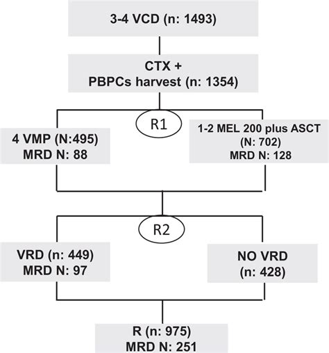 Cyclophosphamide-bortezomib-dexamethasone (CyBorD ... - Mayo …