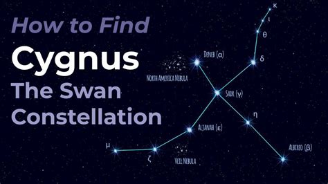 Cygnus the Swan How to ID the star pattern