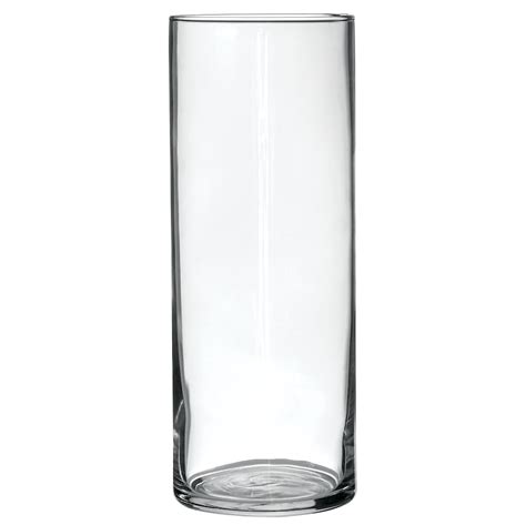Cardinal Cylinder Vases | Birch Tree Cylinder Glass
