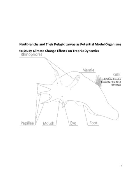 🍆 Cylphine Onlyfans Leaked [SEX VIDEO]