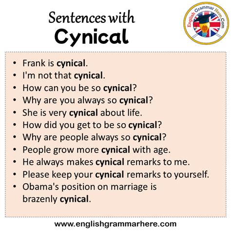 Cynic In A Sentence Short Example Sentence For Cynic